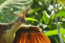 4d3n sandoval lake tambopata adventure camping tours